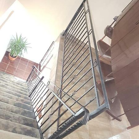 Cabana Merisor Hotel Poiana Mărului Eksteriør billede