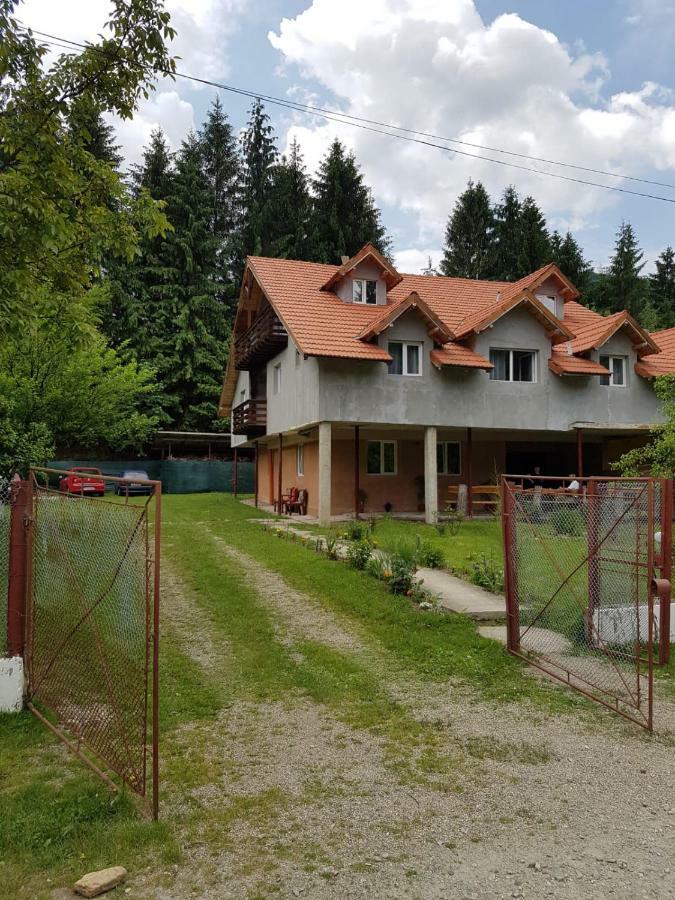 Cabana Merisor Hotel Poiana Mărului Eksteriør billede